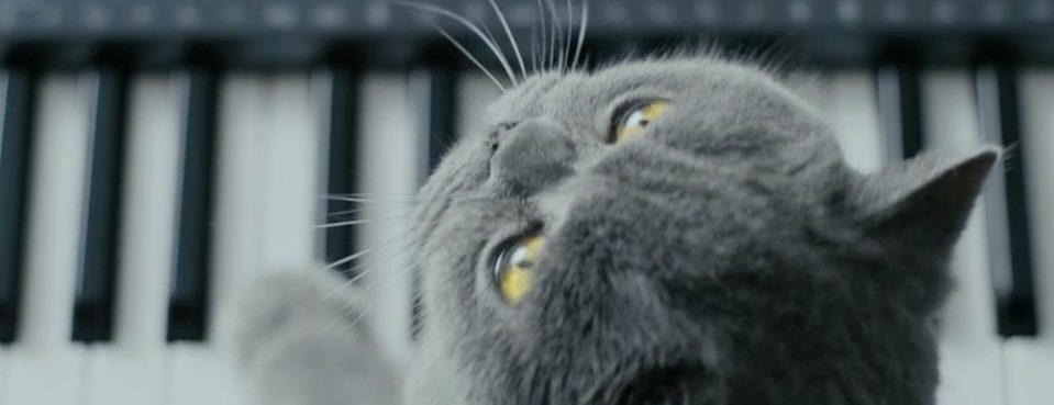 Duncan Shields Creative Portfolio Duncan Shields Creative Portfolio